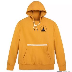 Disney world 100 magical years adult hoodie